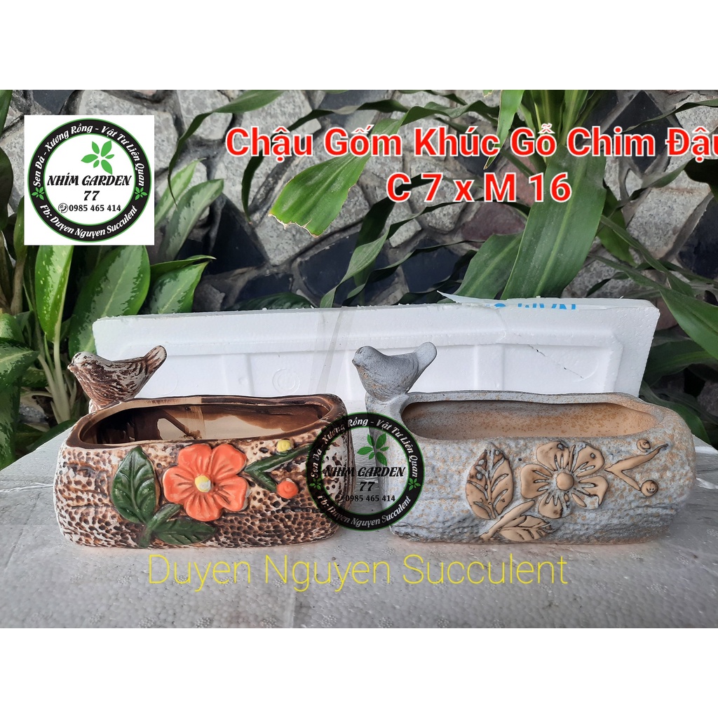 Chậu kiểu xinh xắn hình khúc gỗ chim đậu trồng sen đá. Kích thước cao 7cm x miệng rộng 16cm