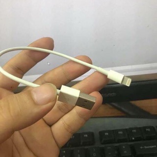 Cáp Lightning dây dẹt iPhone, iPad 20cm