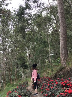 Nón len hình chuông