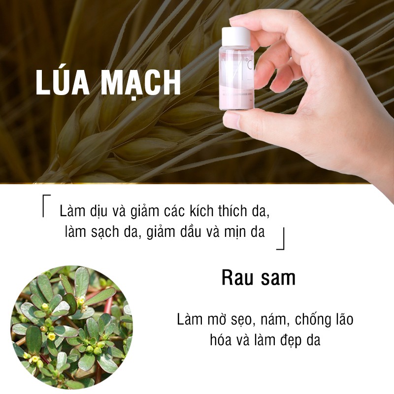 Dung Dịch Chấm Mụn MdoC AC Solution Powder Spot 15ml - Serum Mụn Nam
