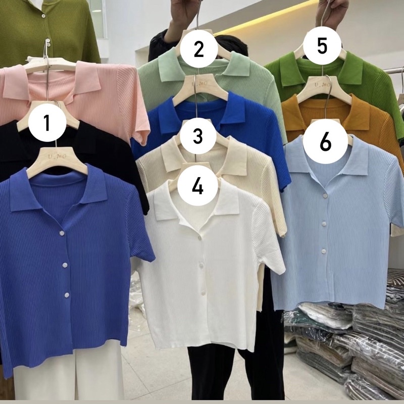 Áo mongtoghi cổ polo 6628_A0526