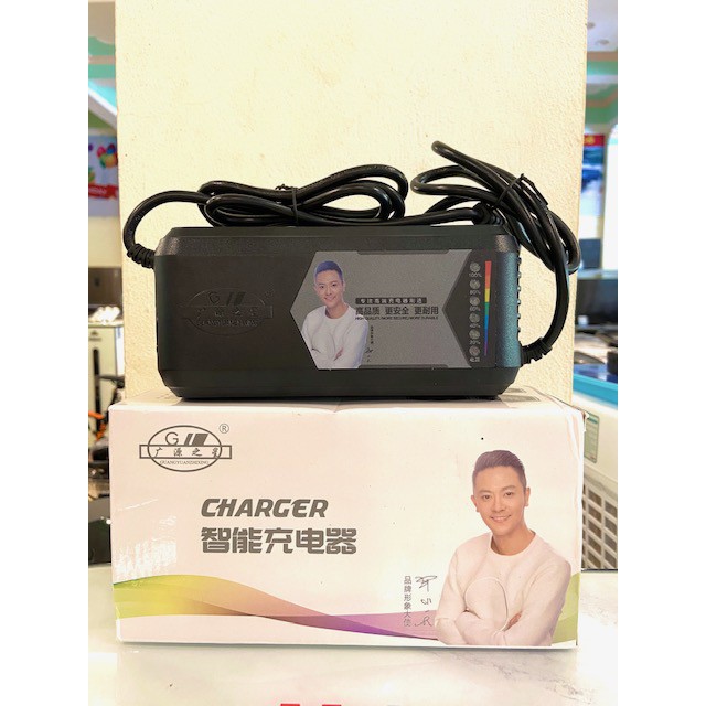 Sạc xe điện CHANGER 48V12A