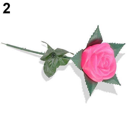 Đèn hoa trang trí sân vườn