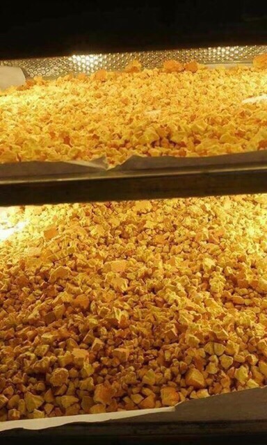 nghệ hạt 1kg chưa nghiền lọc kĩ thơm,mịn