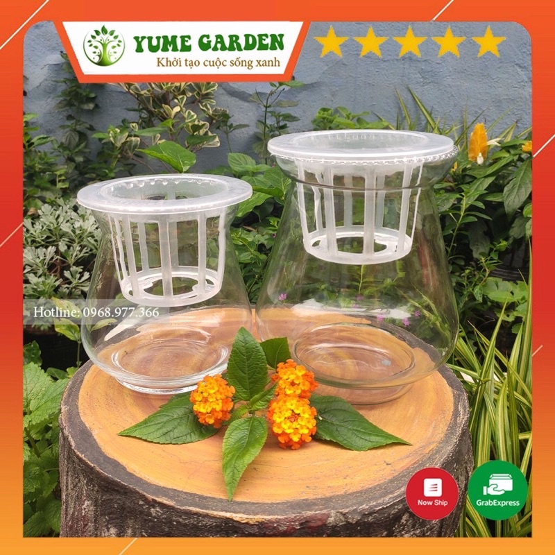 Chậu thuỷ tinh kèm giá đỡ chuyên trồng cây thuỷ sinh, cắm hoa, nuôi cá