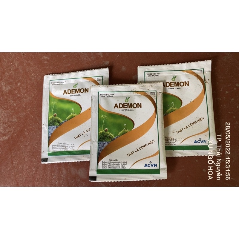 Chống sốc nhiệt cho cây