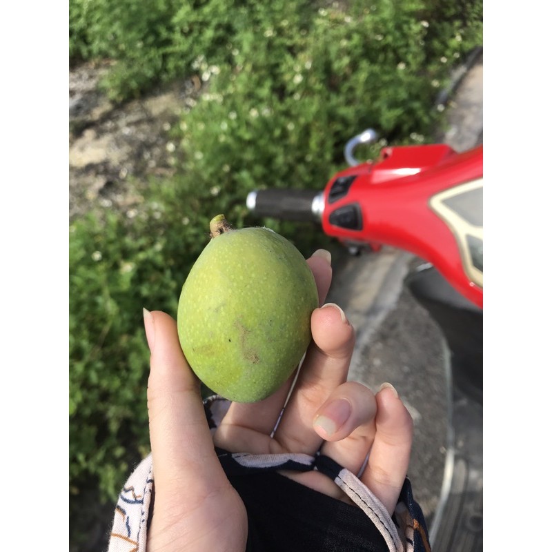 tình yêu to lớn của đô đô