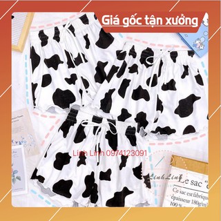 Quần sooc bò sữa, quần đùi bò sữa freesize chất loại 1 mát min