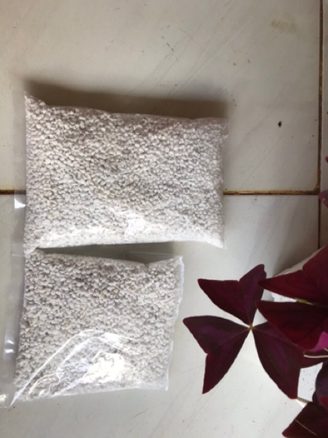 Đá perlite - đá trân châu trang trí, trồng cây gói