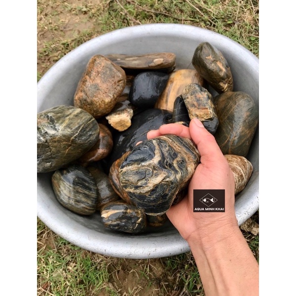Đá Cuội Vân Mây - Setup, Trang Trí bể thủy sinh, bể cá cảnh, phụ kiện terrarium, chậu cây 1kg