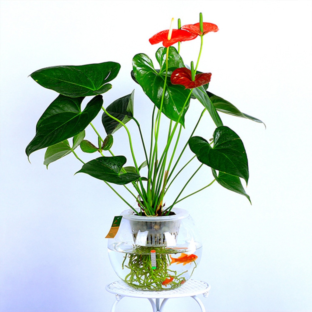 Bình Cắm Hoa Bằng Nhựa Trong Suốt Đa Năng Chất Lượng Cao