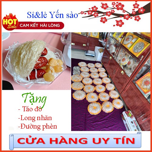 1 tai yến sào cao cấp 7-8gr Y HÌNH ít sợi dài Tặng táo đỏ, đường phèn, hạt chia