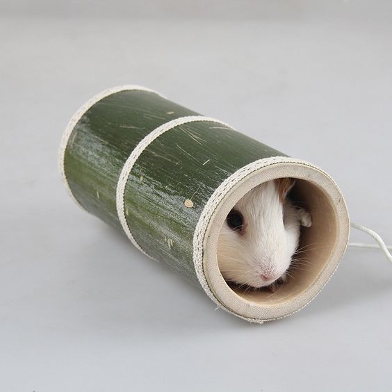 Ống chui, hầm chui gỗ trúc cho hamster, sóc, bọ tự nhiên