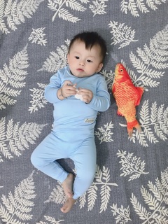 Bộ thun lạnh loại 1
