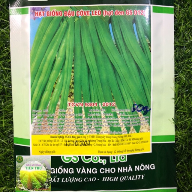 HẠT GIỐNG ĐẬU CÔ VE LEO HẠT ĐEN (50gr)