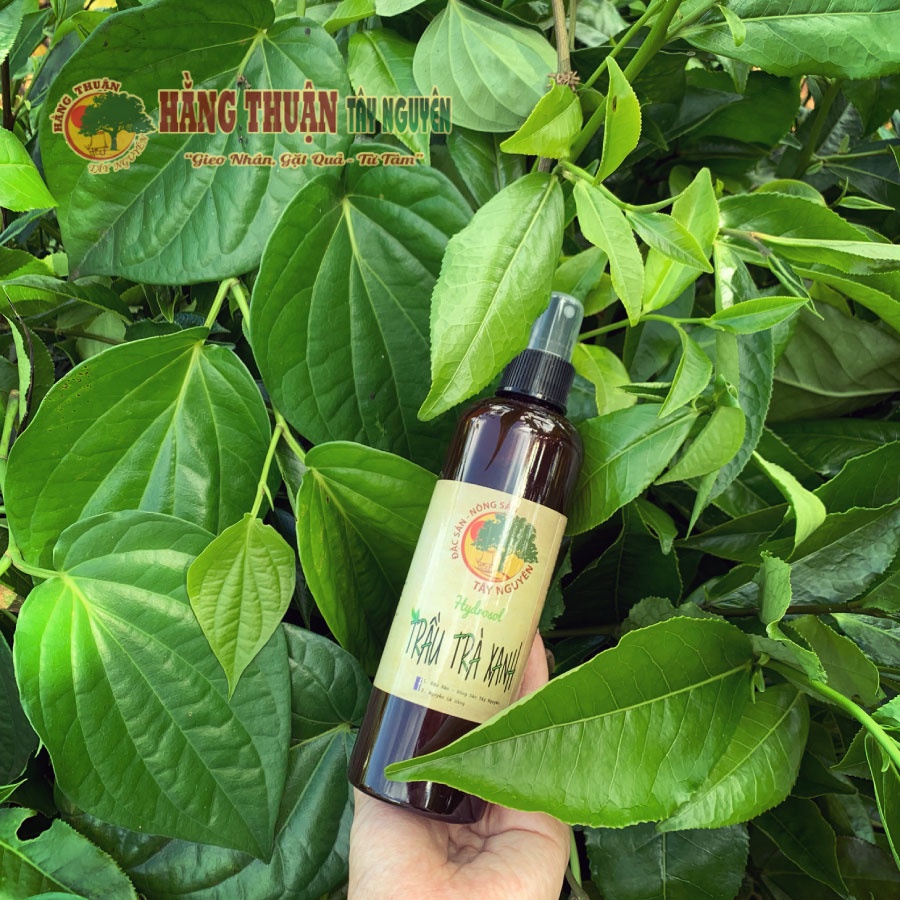 Khoáng Trầu Trà Xanh  Hằng Thuận Tây Nguyên [250ml]