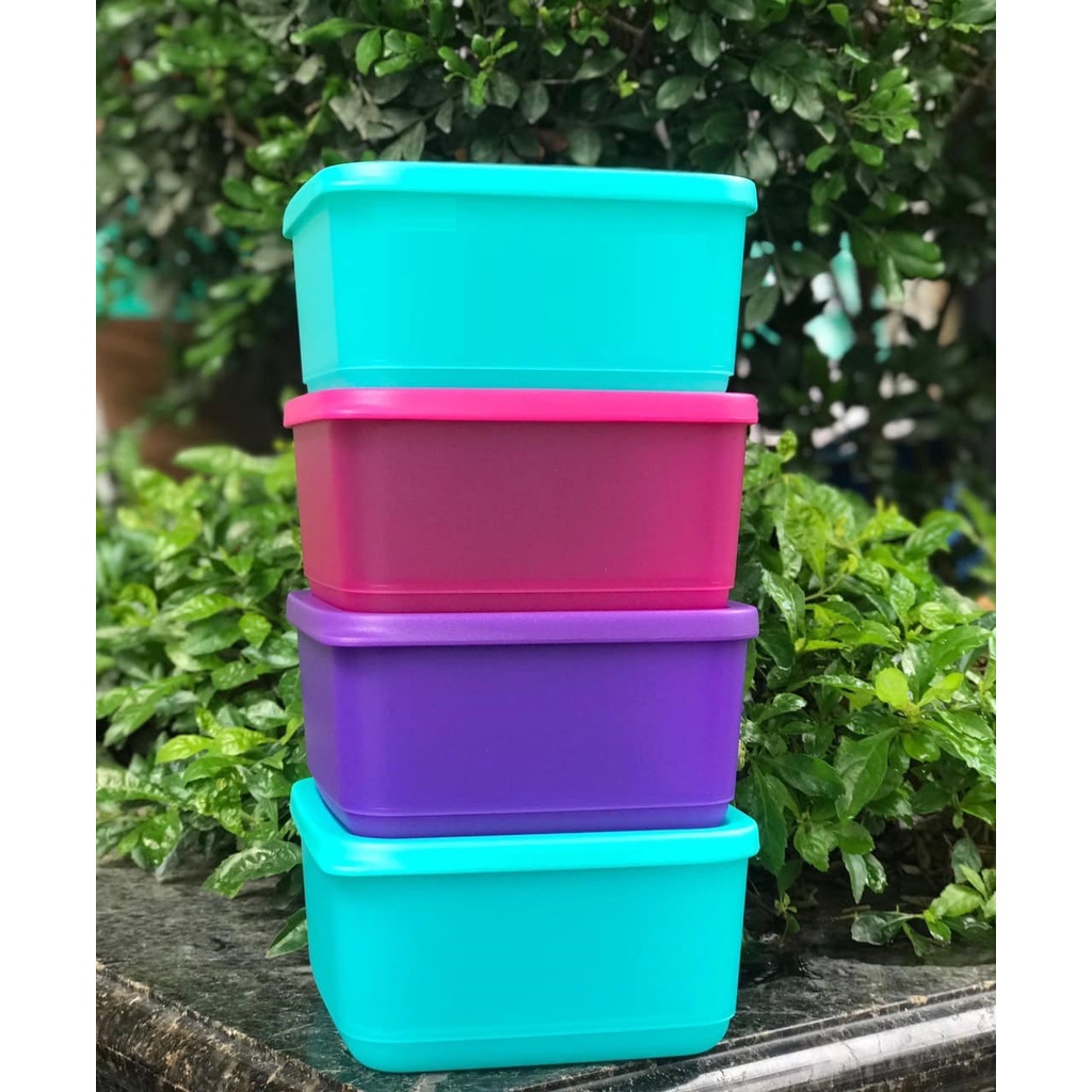 TUPPERWAREHOUSE MALL - Bộ hộp bảo quản thực phẩm Small Square Round Tup