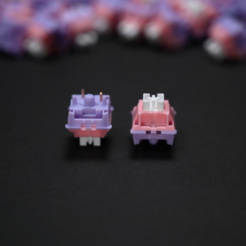 Zuoce ROCOCO R2 tactile switch công tắc bàn phím cơ Zuoce switch - Polabe Store