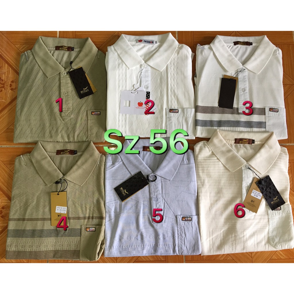 TỔNG HỢP ÁO THUN NAM TRUNG NIÊN HÀNG QUẢNG CHÂU CAO CẤP MS01 | BigBuy360 - bigbuy360.vn