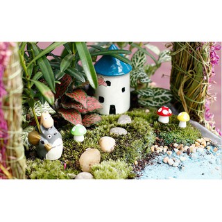 [Tiểu Cảnh] Nấm Mini - Phụ Kiện Trang Trí Tiểu Cảnh Sen Đá/Bonsai, Terrarium
