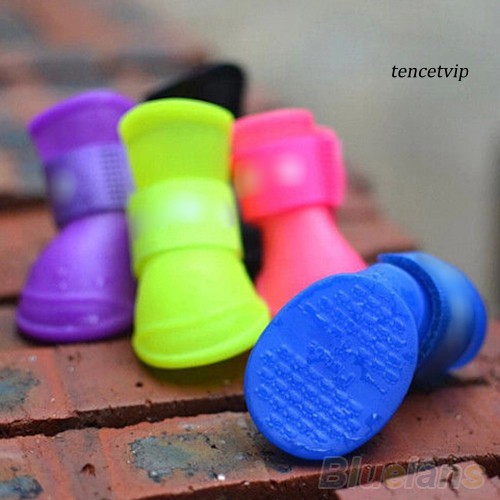Set 4 giày bốt cao su đi mưa xinh xắn dành cho thú cưng