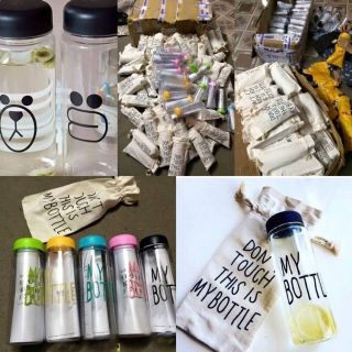 [Hàng có sẵn] Bình đựng nước My bottle, gấu, vịt