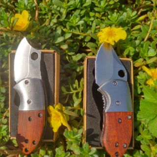 Dao phượt buck mini