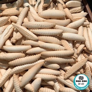 Bánh men sùng nước dừa vị vani sầu riêng nhà Bing Bing 500gr