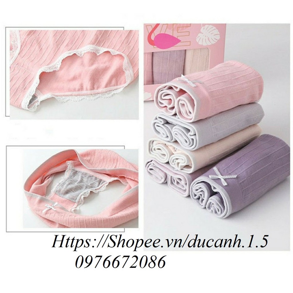 Hộp 5 quần lót hồng hạc cotton, kháng khuẩn cho chị em