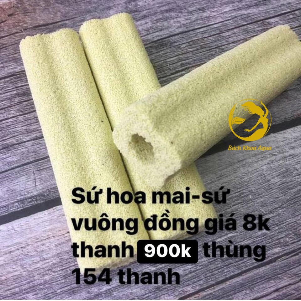 Sứ hoa mai tròn vuông vàng hàng cao cấp Keyrsin