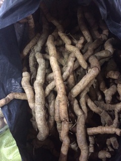1kg Ba kích tím Điện biên