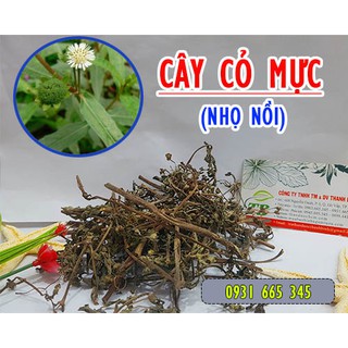 Combo 2kg Cây Cỏ Mực Khô / Cây Nhọ Nồi - Thảo Dược Thanh Bình