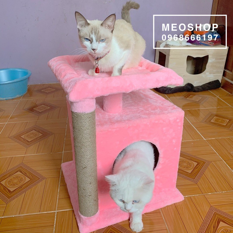 Nhà Mèo - Cattree 😻 FREESHIP 😻 Inbox Shop để được giảm giá