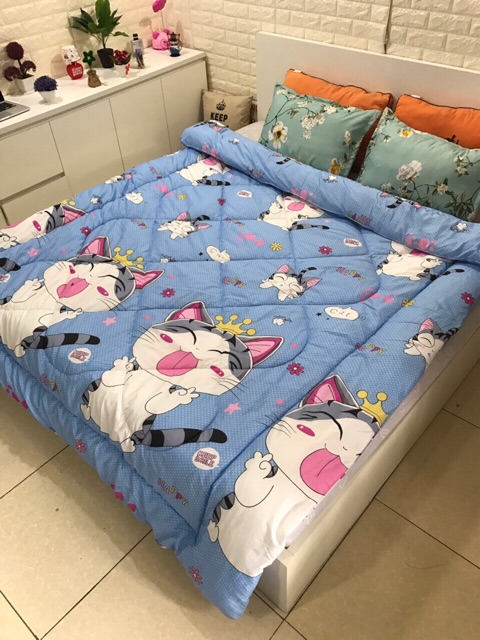 Bộ chăn phao kèm ga chun 2 vỏ gối cotton poly | BigBuy360 - bigbuy360.vn