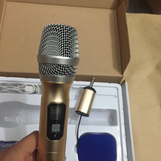 Micro Không Dây AMI W-5