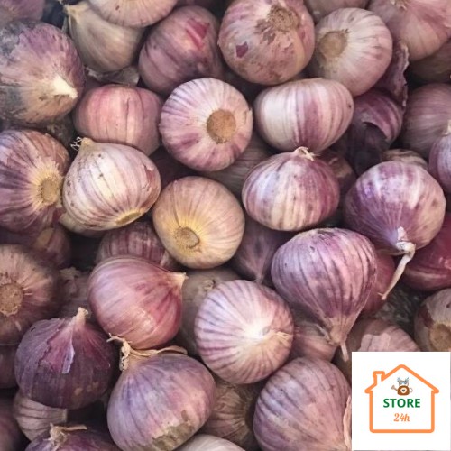 Tỏi Cô Đơn Phan Rang [1 kg]