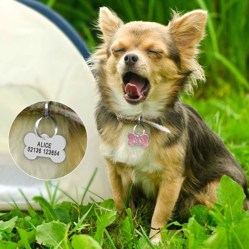 【RIZER】Vòng Cổ Gắn Điện Thoại Hình Khúc Xương Siêu Nhẹ Khắc Chữ ID Cho Thú Cưng