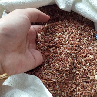 1kg gạo lứt bản - gạo lứt sơn la tây bắc