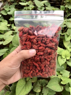 100gr kỉ tử hữu cơ Sỉ sll