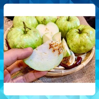 ổi ngon ngọt nhiều vitamin C và chất xơ tốt cho sức khỏe (1 ký)
