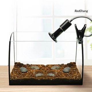 Đèn Sưởi Ấm Đa Năng Cho Rùa Nuôi