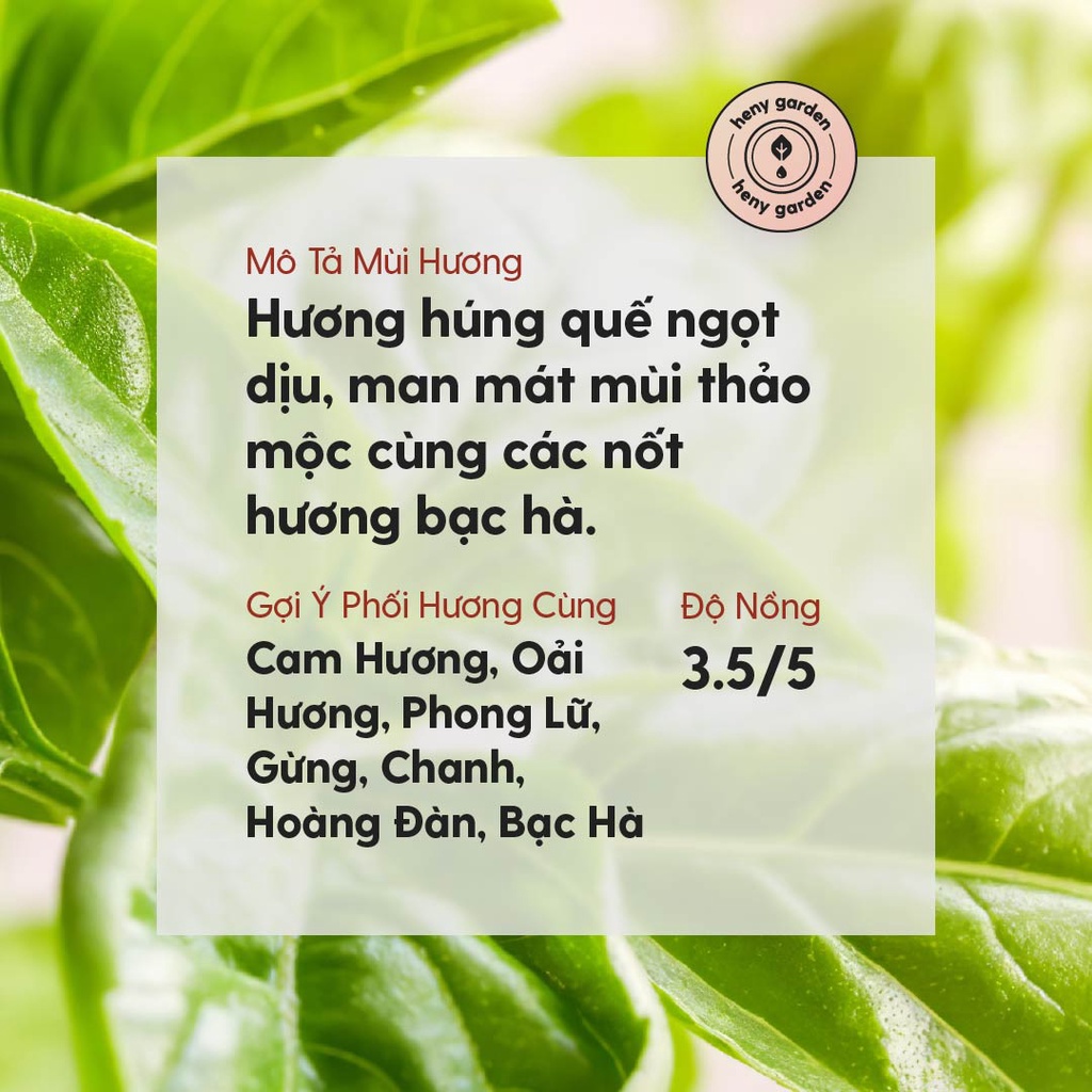 Tinh Dầu Húng Quế Organic Nguyên Chất Đậm Đặc Xông Thơm Phòng, Làm Nến Thơm Thiên Nhiên, Giúp Dễ Ngủ Heny Garden 10mL