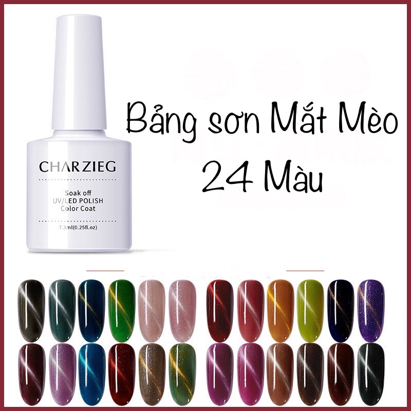(Bảng mắt mèo) Gel sơn móng tay RYKAERGEL 7.3ml