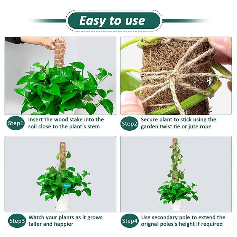 Bộ 10 Thanh Rêu Xoắn 16 inch Hỗ Trợ Nối Dài Kèm 30 Đầu Tabs &amp; 5 Dây Cột