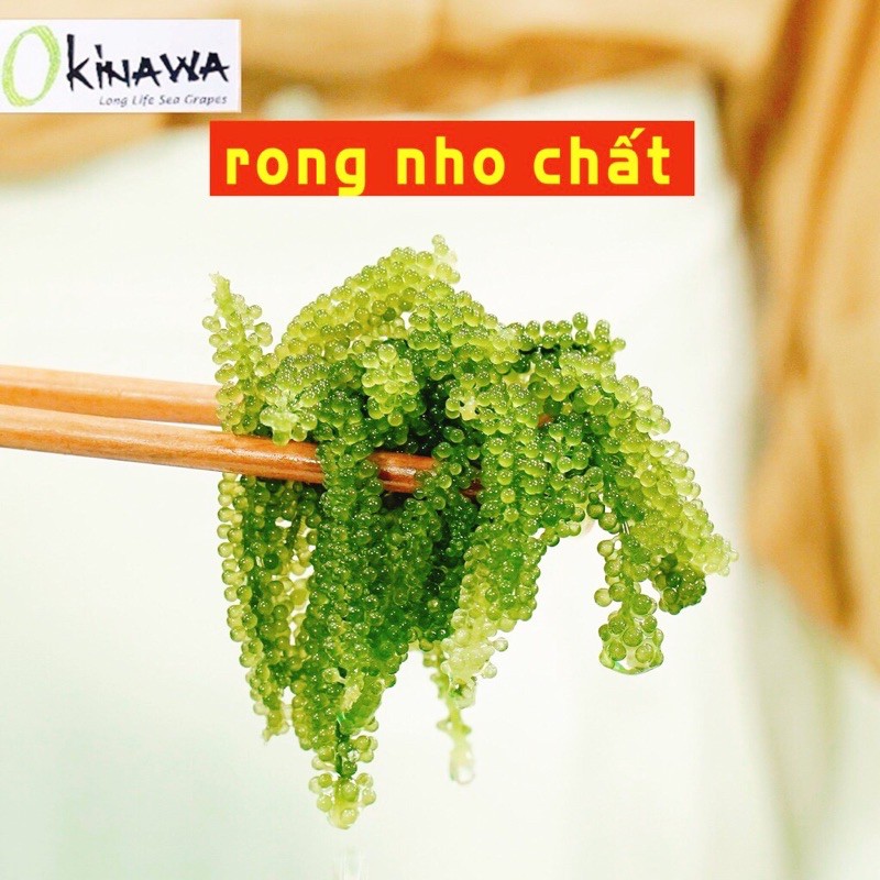 Rong Nho Okinawa Nhật Bản Ko Tanh + CTKM Hấp Dẫn Xem Dưới Nội Dung | BigBuy360 - bigbuy360.vn