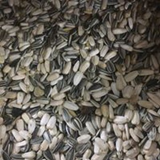 Hạt Hướng Dương Bỉ gói 1kg