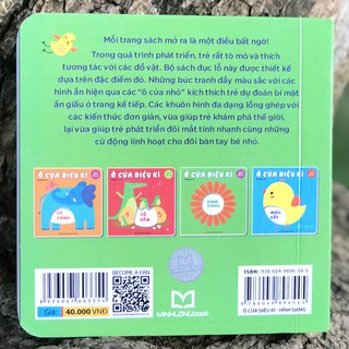 Ô Cửa Diệu Kì - Hình Dạng