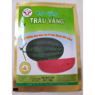 Hạt giống dưa hấu lai F1 Phú Nông 388 gold ( Hạt giống Trâu Vàng) gói 20g
