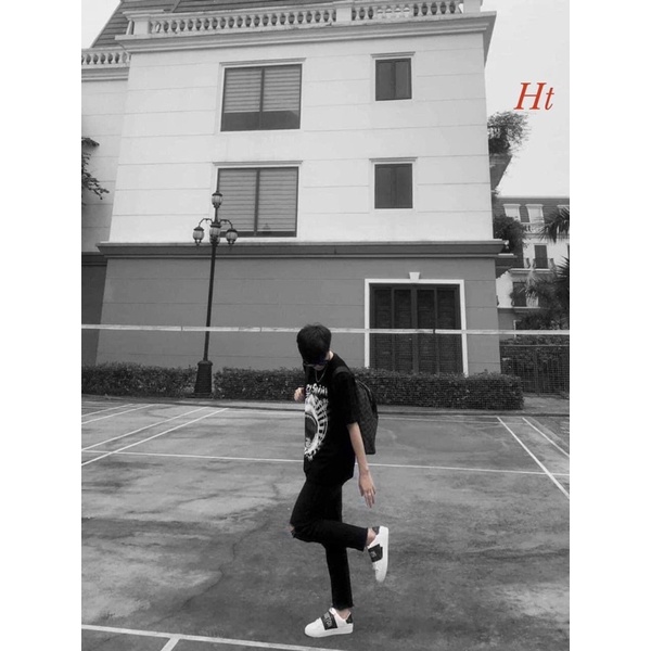 Áo phông cá free HT12