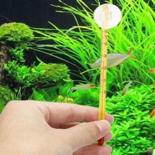 Nhiệt kế thuỷ ngân đo nhiệt độ bể cá